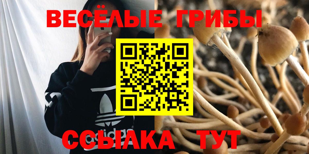 Галлюциногенные грибы GOLDEN TEACHER Прокопьевск