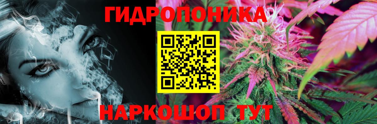 МАРИХУАНА MAZAR  Вход с VPN  Марихуана сатива  Каннабис MAZAR  Прокопьевск  Марихуана гибрид 
